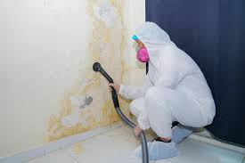 Best Post-Construction Mold Inspection  in Churchville, NY